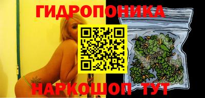 каннабис Шелехов
