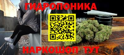 амф Шебекино