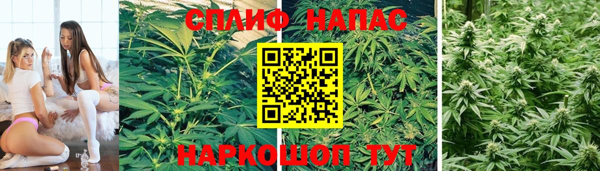 Конопля марихуана Благодарный